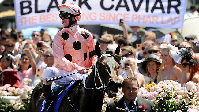 Black_Caviar